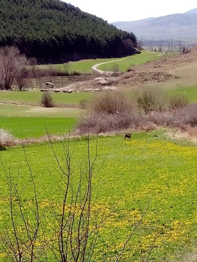Chalet De Llivia Estavar Esterno foto